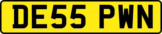 DE55PWN