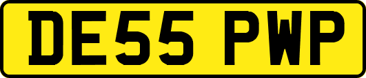 DE55PWP