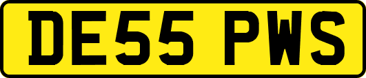 DE55PWS