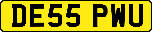DE55PWU