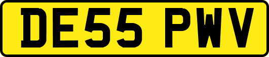DE55PWV