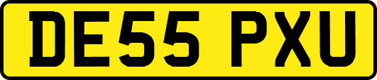 DE55PXU