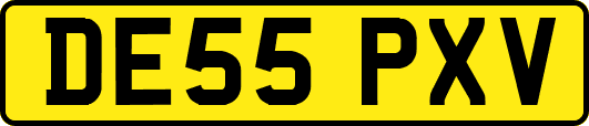 DE55PXV