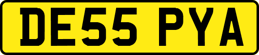 DE55PYA
