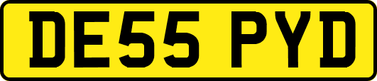 DE55PYD