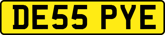 DE55PYE