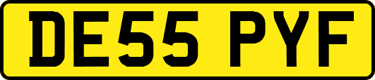 DE55PYF