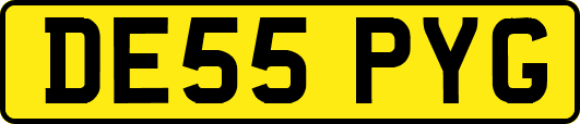 DE55PYG