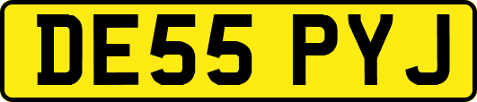 DE55PYJ