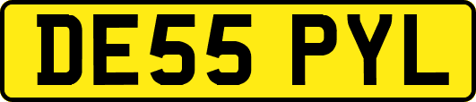 DE55PYL