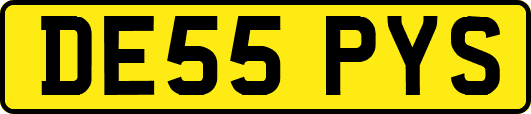 DE55PYS