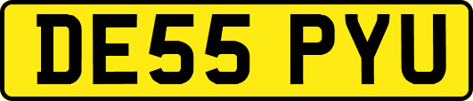 DE55PYU