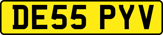 DE55PYV