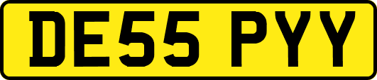 DE55PYY