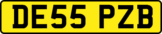 DE55PZB