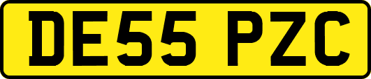 DE55PZC