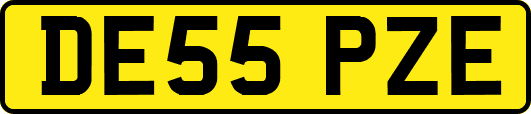 DE55PZE