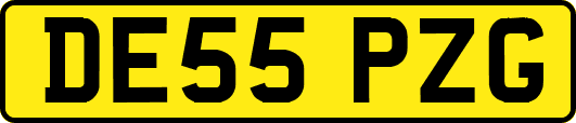 DE55PZG
