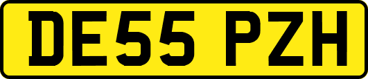 DE55PZH