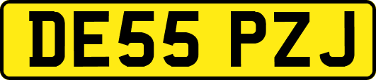 DE55PZJ