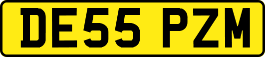 DE55PZM