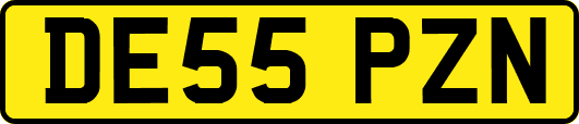 DE55PZN