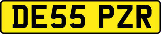 DE55PZR