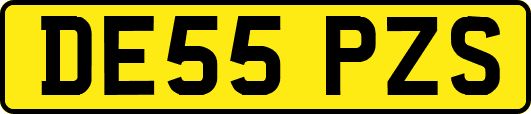 DE55PZS