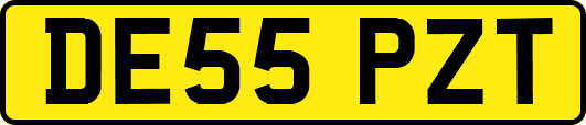 DE55PZT