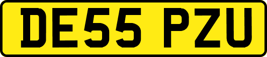 DE55PZU