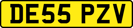 DE55PZV