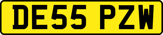 DE55PZW