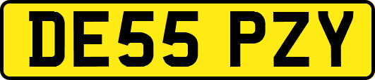 DE55PZY