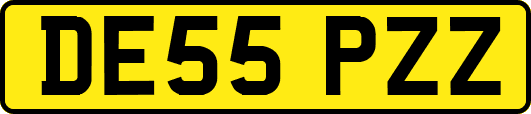 DE55PZZ