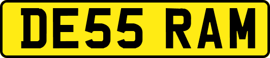DE55RAM