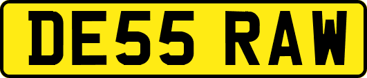 DE55RAW