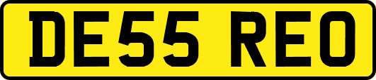 DE55REO