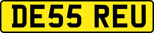 DE55REU