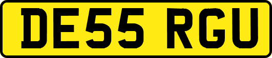 DE55RGU