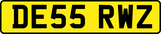 DE55RWZ