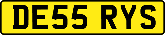 DE55RYS