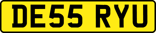 DE55RYU