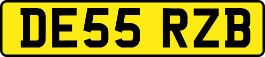 DE55RZB