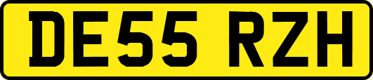 DE55RZH