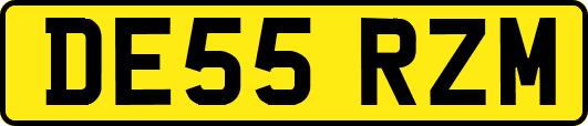 DE55RZM