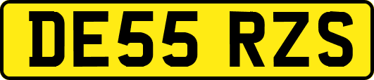 DE55RZS