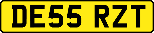 DE55RZT