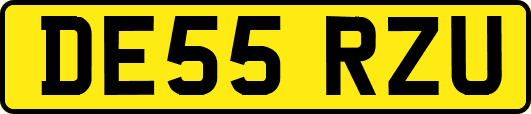 DE55RZU