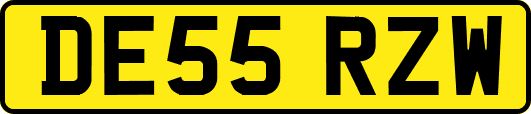 DE55RZW