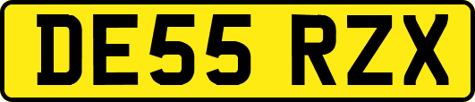 DE55RZX